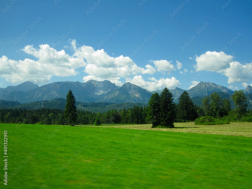 landscape in the summer