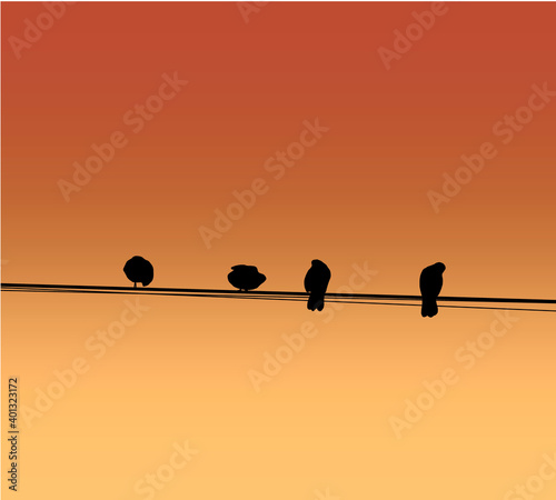 Keep your distance. Silhouette of birds in the evening during sunset hour on the electric wire. A group of bird is gathering to go back their home before sunset. © Warunporn
