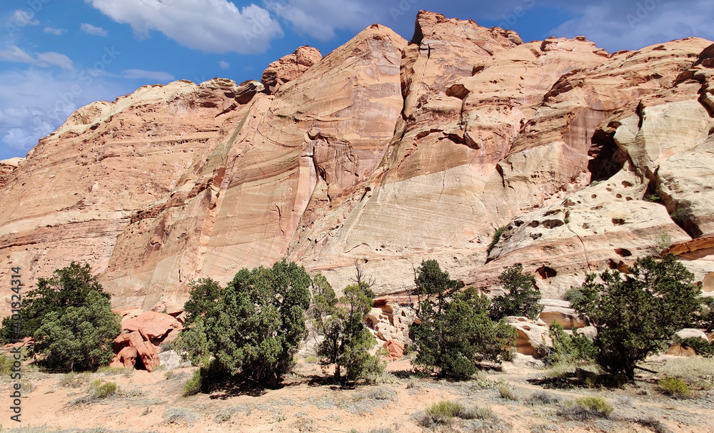 Fototapeta premium Golden sandstone geographical formations with a desert prairie landscape on a hot summer day at the Cohan Canyon Trail in Capitol Reef National Park Southern Utah.
