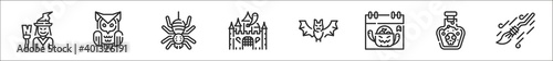 set of 8 halloween thin outline icons such as witch, owl, spider, horror, bat, calendar, posion, broomstick
