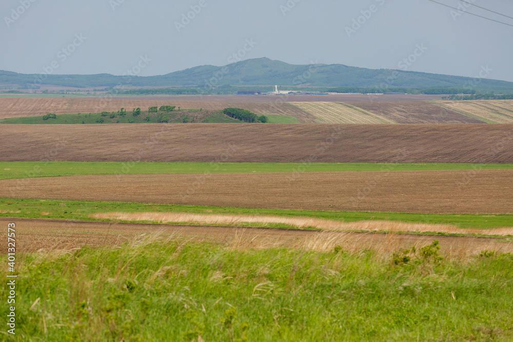 Russian agricultural field. Beautiful sown fields among the green hills in Russia.