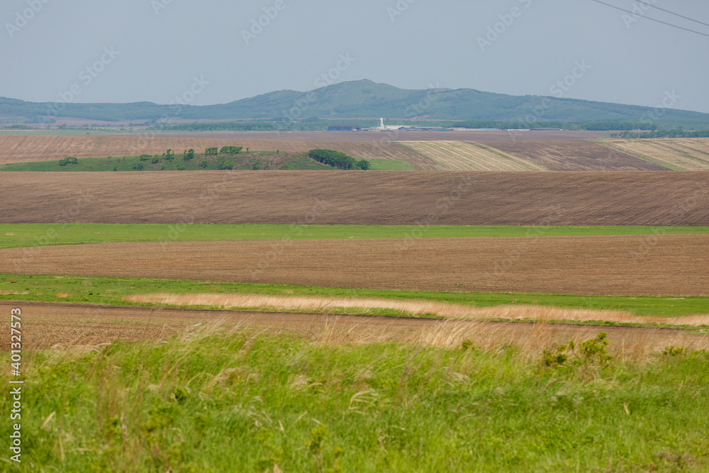 Fototapeta premium Russian agricultural field. Beautiful sown fields among the green hills in Russia.