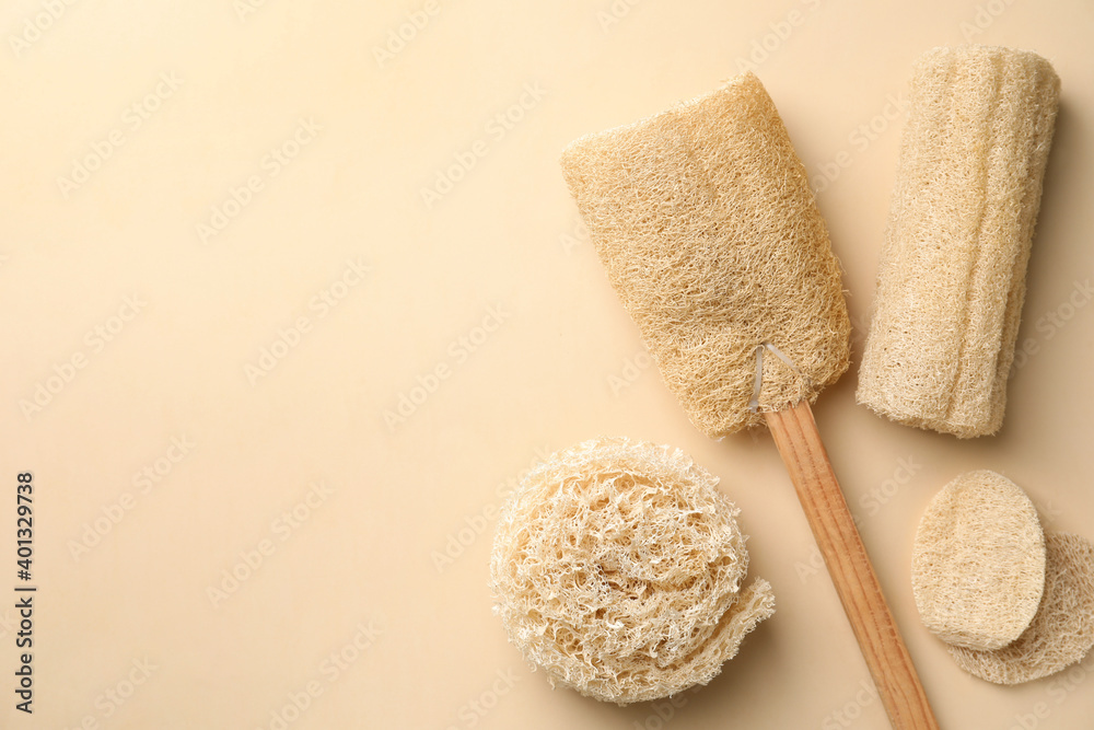 L sponge hi-res stock photography and images - Page 3 - Alamy