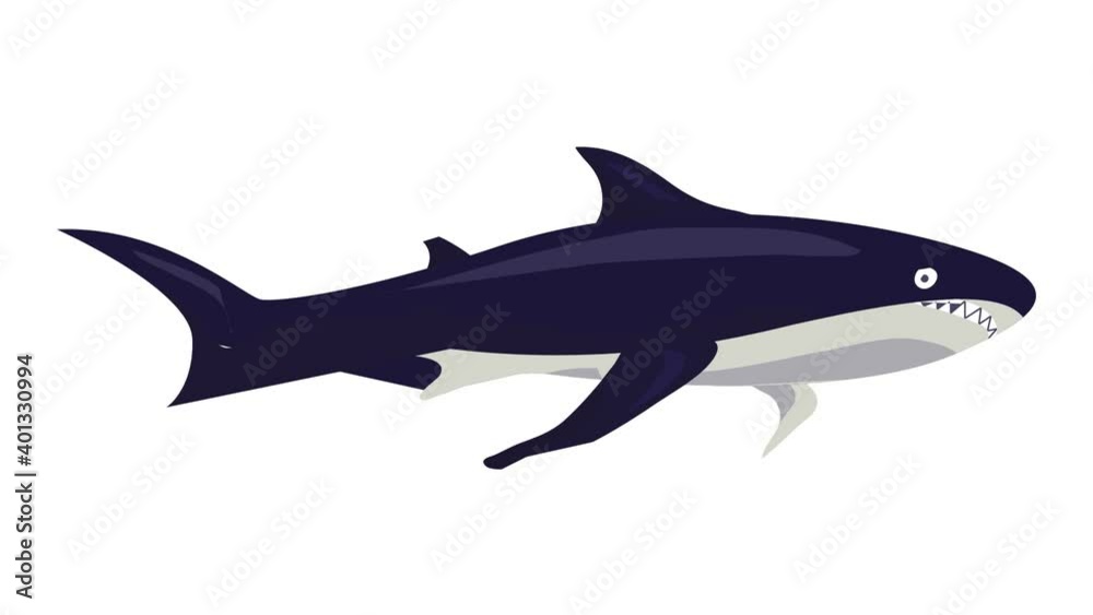 Shark icon animation best on white background for any design Shark icon animation best on white background for any design