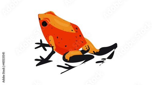 Red frog icon animation best on white background for any design photo