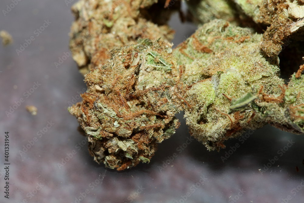 Cannabis super lemon haze medical weed macro background fifty megapixels high quality prints Cannabis super lemon haze medical weed macro background fifty megapixels high quality prints
