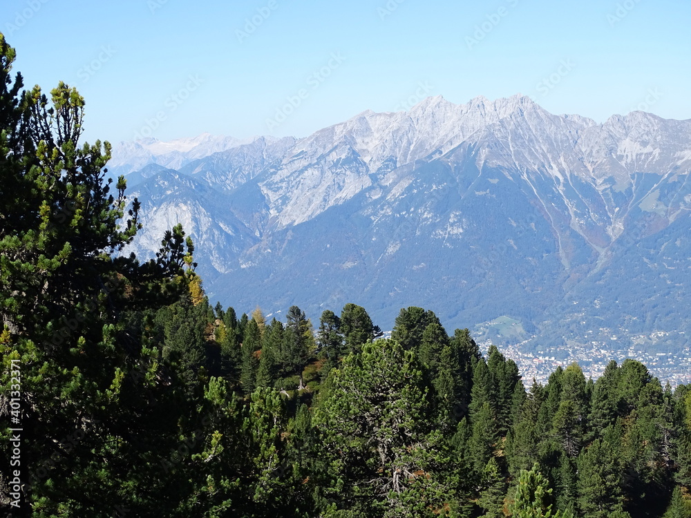 Zirbenweg am Patscherkofel oberhalb von Innsbruck Sistrans Lans Patsch gegenüber dem Karwendel Gebirge