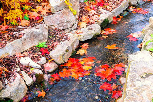 Small brook with autumnal colorful maple leaves, city park in small European ...