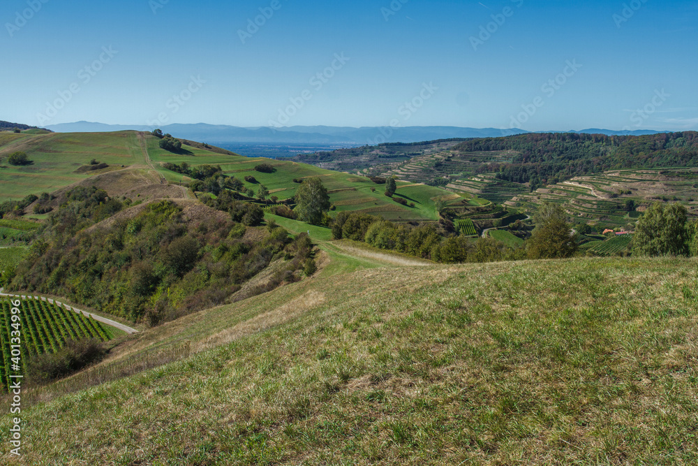 Fototapeta premium Altvogtsburg im Kaiserstuhl mit Badberg, Baden-Württemberg