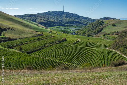 Altvogtsburg im Kaiserstuhl mit Badberg, Baden-Württemberg