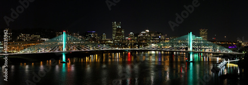 panoramic city at night with bridge 