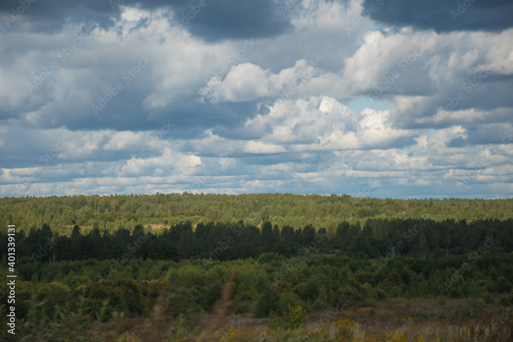 Mixed forest horizon: green trees in the forest under a blue sky and clouds in summer, a place for text, ecology, careful attitude to nature Mixed forest horizon: green trees in the forest under a blue sky and clouds in summer, a place for text, ecology, careful attitude to nature