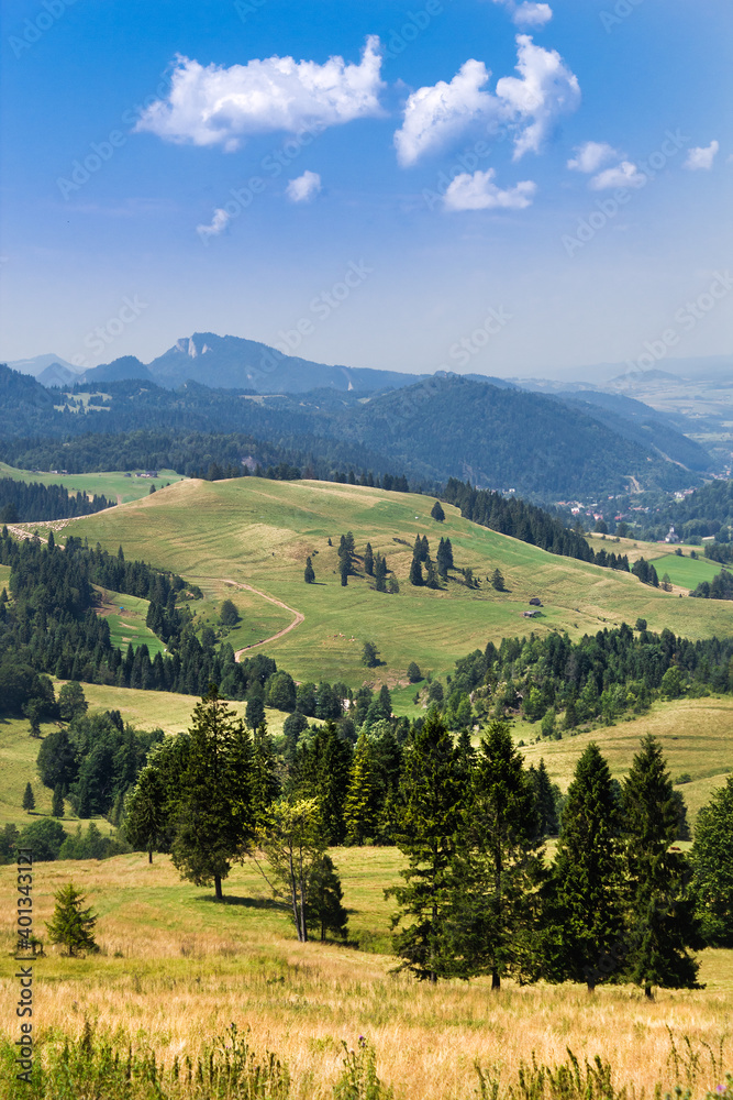 Summer in Pieniny Mountains. View from Rozdziela Pass to Three Crowns Massif.