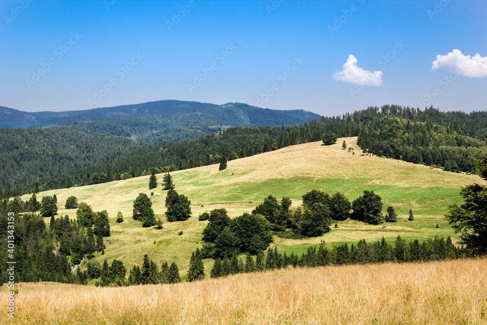 Summer in Pieniny Mountains. View from Wierchliczka on Rozdziela Pass and Radziejowej Range in Beskid Sadecki.