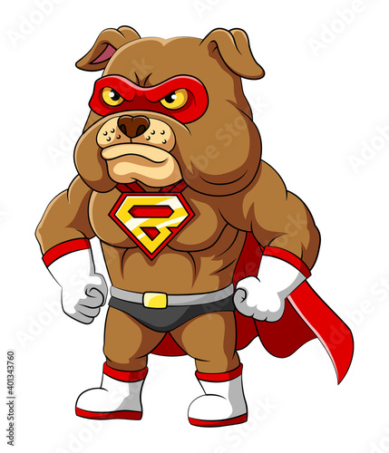 The super bulldog with serious and angry face and has muscular body