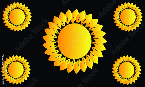 set of sunflower with black background