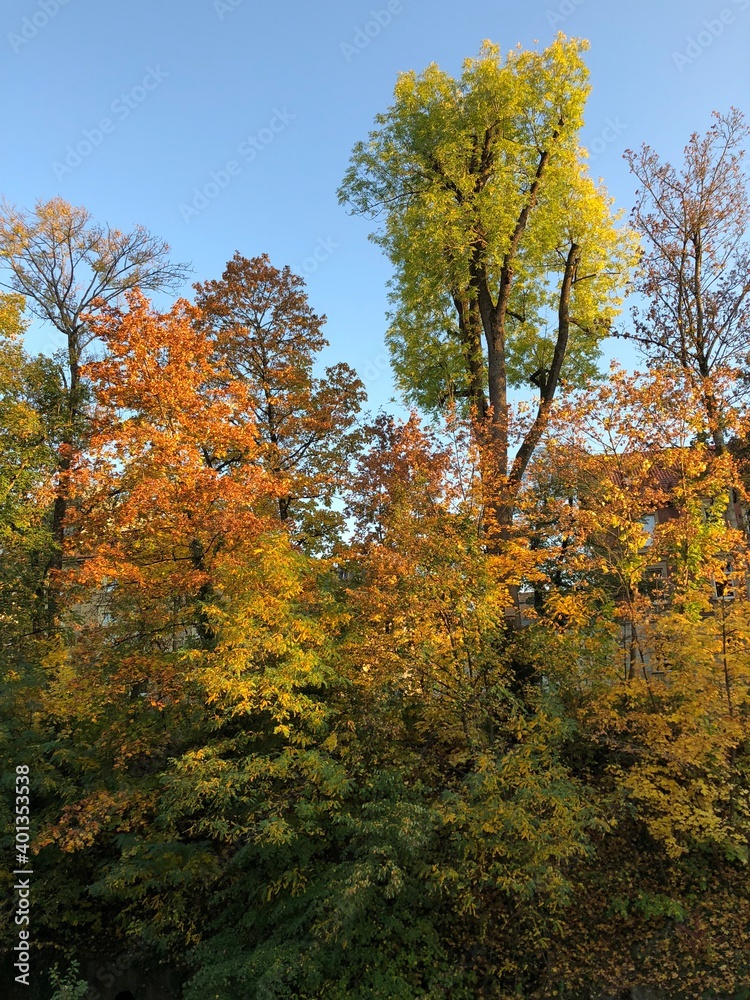 Josefsbach in der Allee in Schwäbisch Gmünd im Herbst