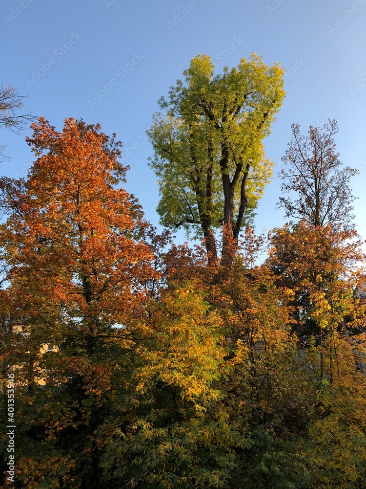 Josefsbach in der Allee in Schwäbisch Gmünd im Herbst Josefsbach in der Allee in Schwäbisch Gmünd im Herbst
