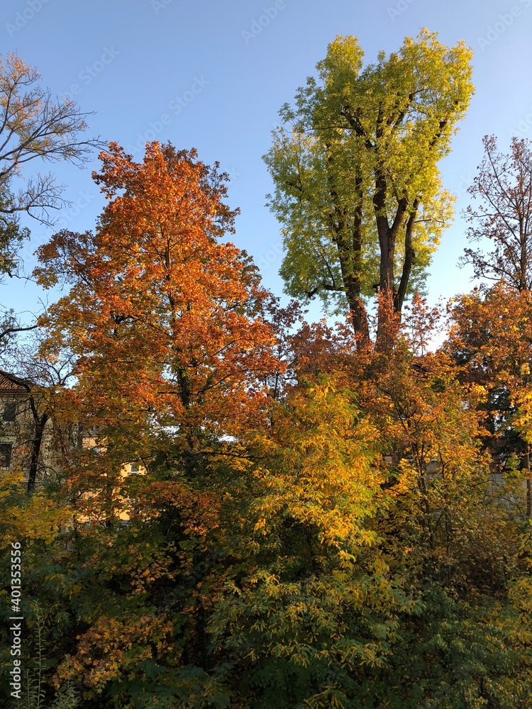 Josefsbach in der Allee in Schwäbisch Gmünd im Herbst