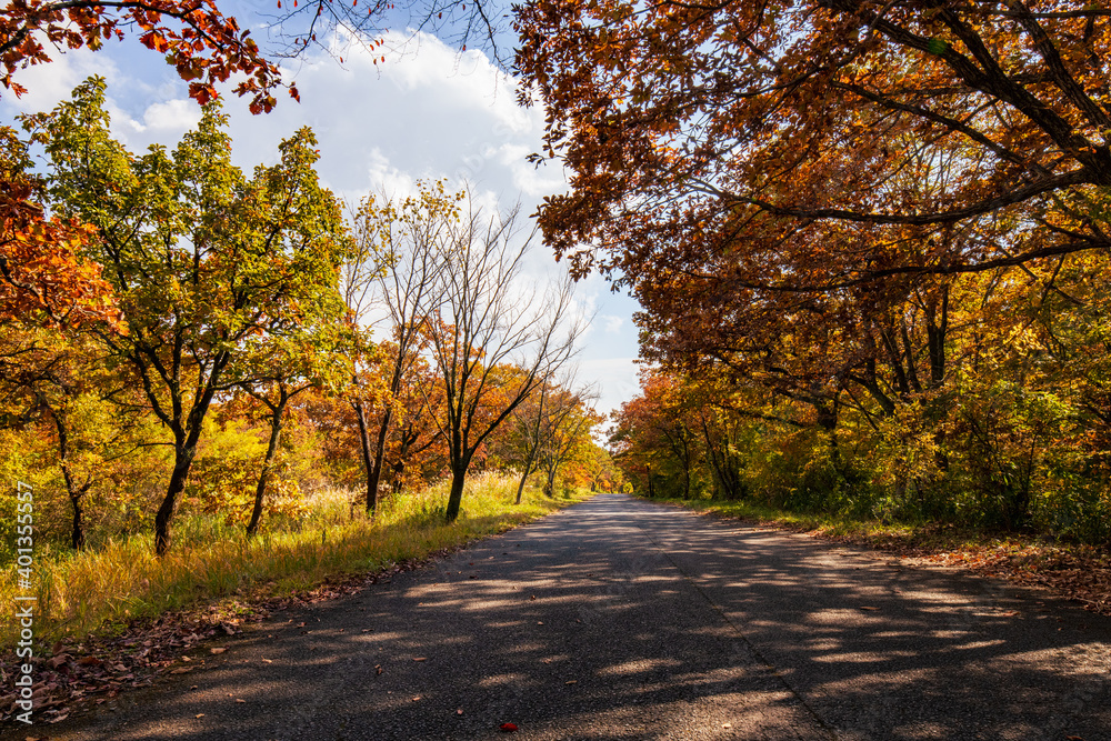 Fototapeta premium 秋晴れの爽やかな久住高原