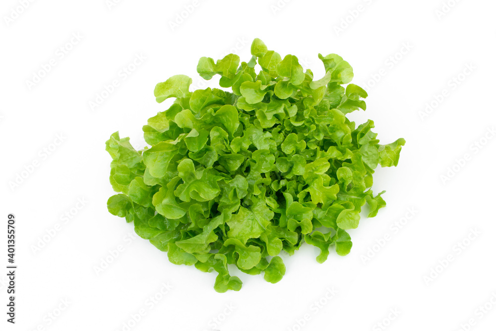 Obraz premium Green oak vegetable on white background.