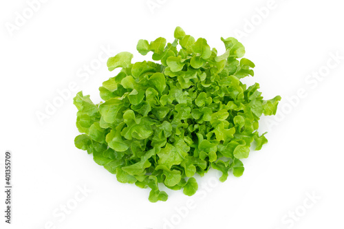 Green oak vegetable on white background.