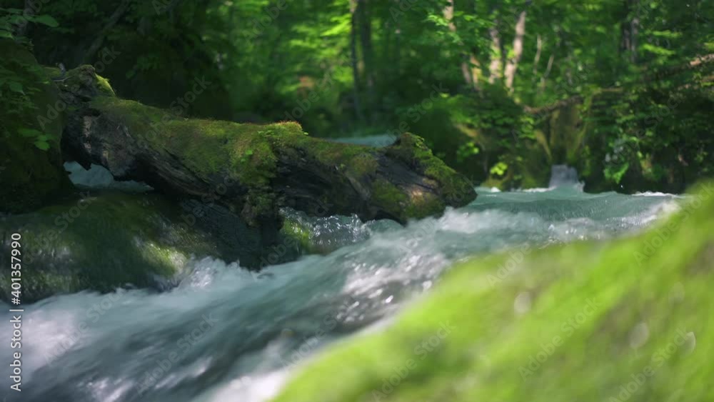 渓流水流川 渓流水流川