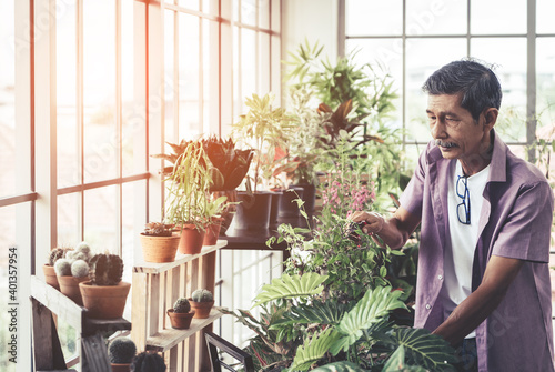 Asian retirement senior is spraying water on plants and flower pot for hobby at home. photo