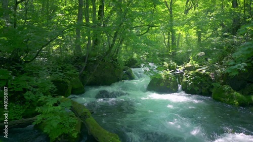 渓流水流川 photo