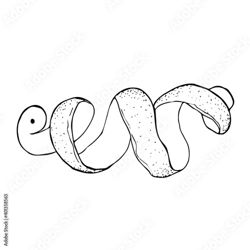 Ribbon cut citrus peel. Mandarin lemon orange grapefruit lime hand drawn black outline doodle sketch. Coloring book. Stock vector illustration isolated on white background.