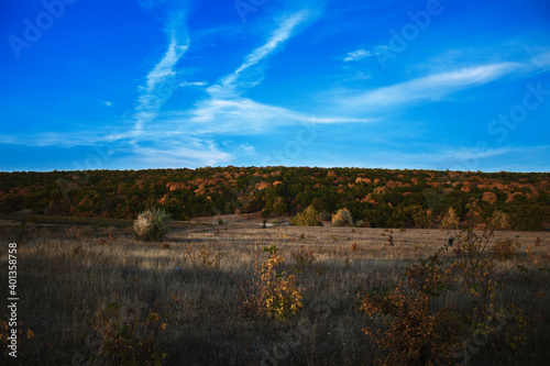 autumn forest against a blue sky