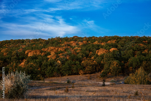 autumn forest against a blue sky