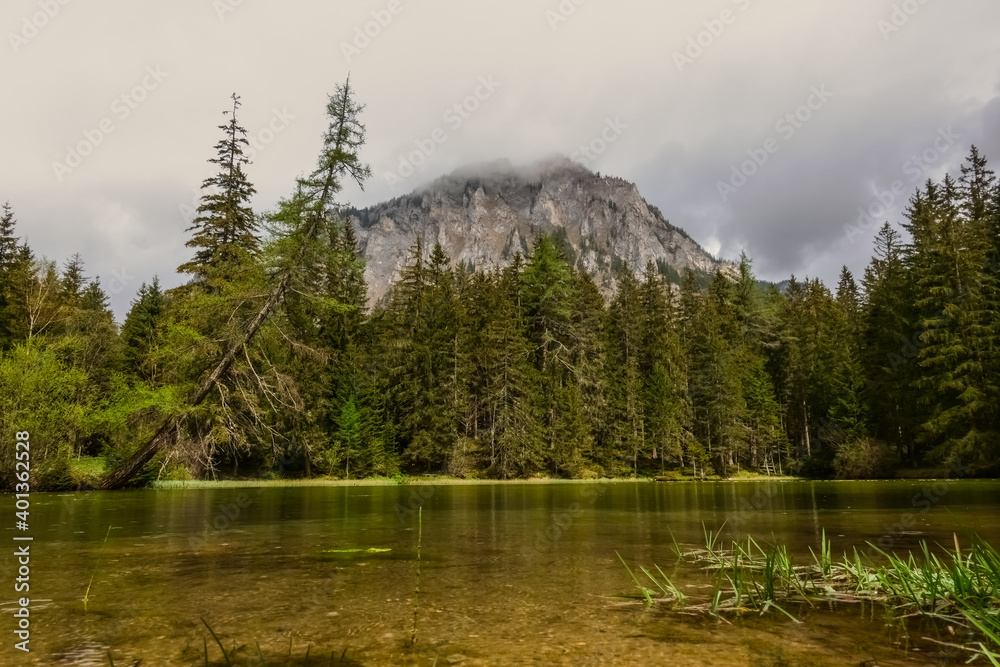 little lake with pine trees and a mountain with fog