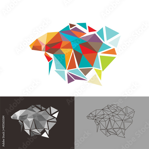 Betta hobby fish low poly polygonal template design