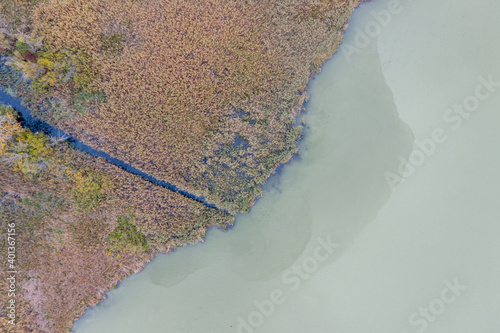 Drone photo of a reed in Lake Balaton, Hungary