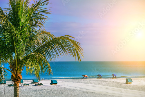 Fototapeta Naklejka Na Ścianę i Meble -  A motley beach with an emerald wave and a palm tree. A row of loungers for relaxation. Florida coast. USA.