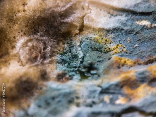 Stone covered with various mildew © Anton Gvozdikov