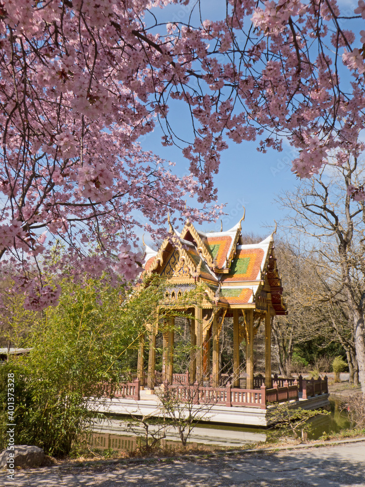 thailändischer Tempel mit blühenden Bäumen