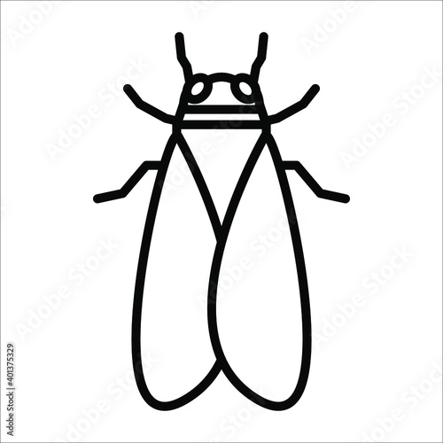 cicada icon. animal sign. vector illustration