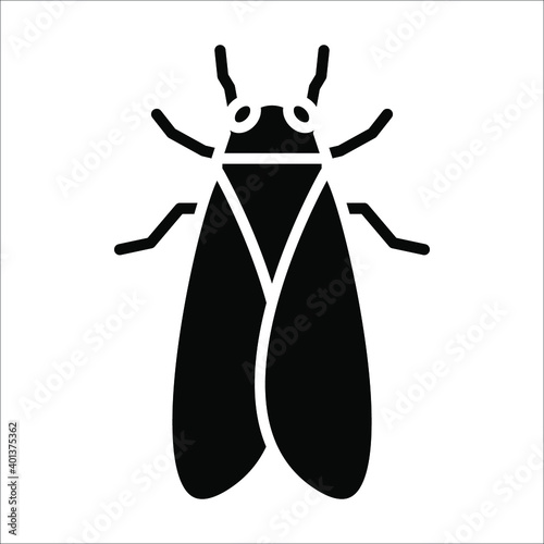 cicada icon. animal sign. vector illustration