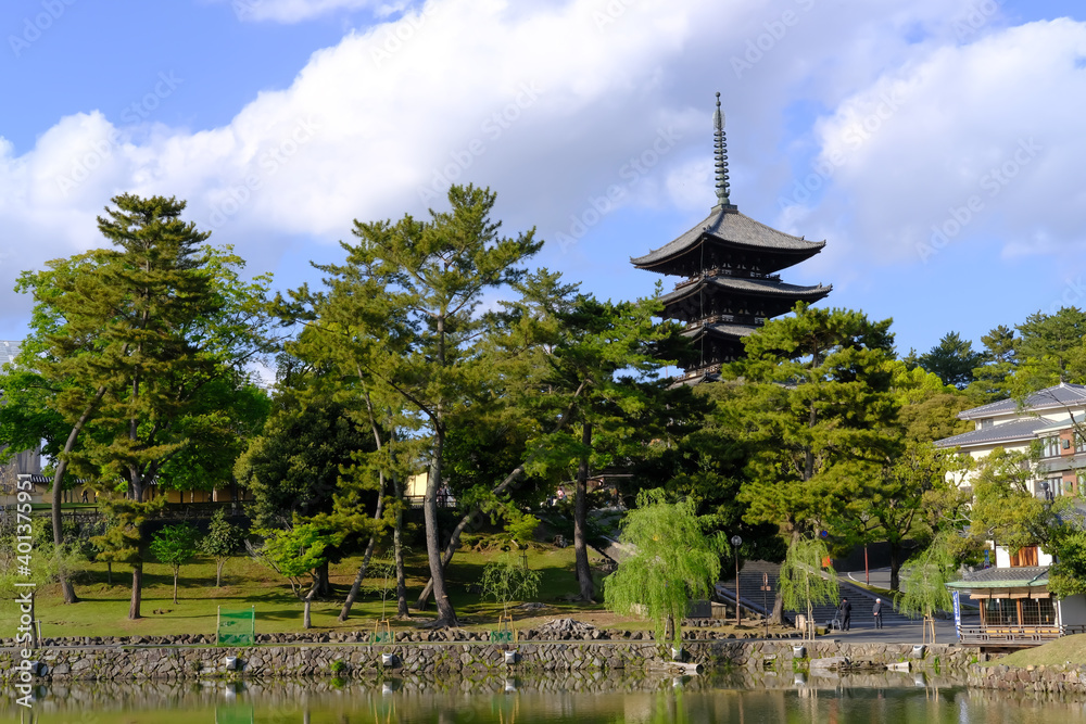 猿沢の池と五重塔