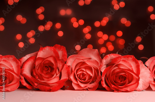 Macro viev of red roses on bright bokeh background  Valentine s Day  Mother s Day  World Women s Day holiday concept