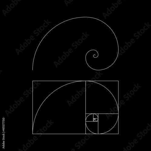 Golden ratio template vector, Divine Proportions, Golden Proportion. Universal meanings. Golden spiral, method of golden section, Fibonacci array