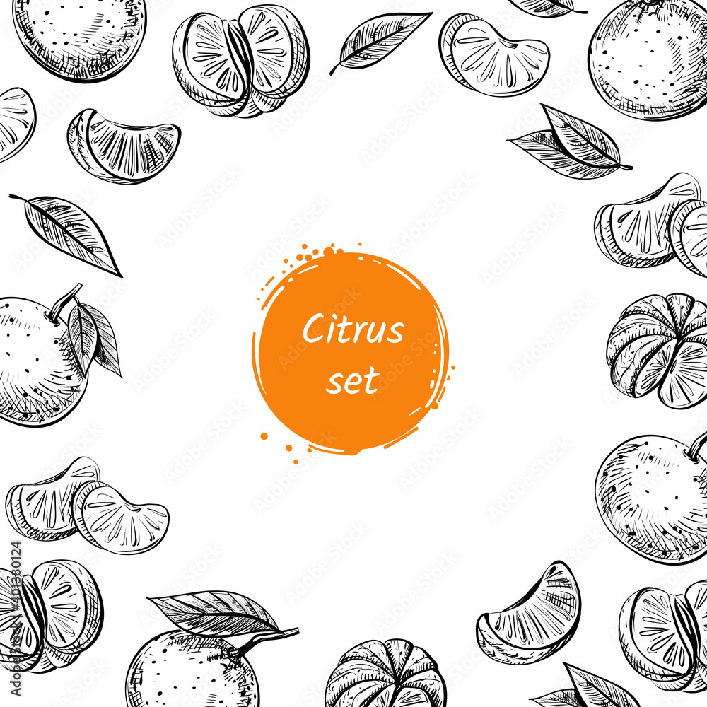 Vector template with collection of citrus exotic summer fruits - tangerine, orange with leaves and branches. Illustration in sketch style with place for text. For decorating recipes, menu or printing Vector template with collection of citrus exotic summer fruits - tangerine, orange with leaves and branches. Illustration in sketch style with place for text. For decorating recipes, menu or printing