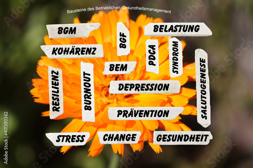 Die Bausteine des Betrieblichen Gesundheitsmanagements