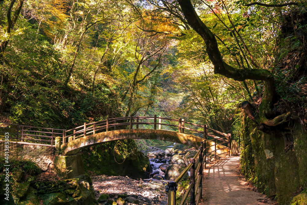Fototapeta premium 秋の天岩戸神社と岩戸川の爽やかな渓谷
