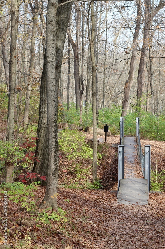 The swinging bridge in the autumn forest. The swinging bridge in the autumn forest.