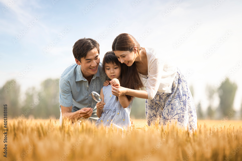 Happy young family having fun in wheat field Happy young family having fun in wheat field