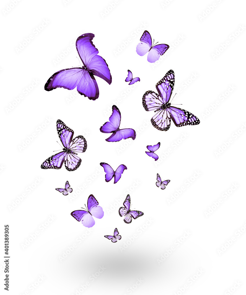 Flock of flying butterflies isolated on white