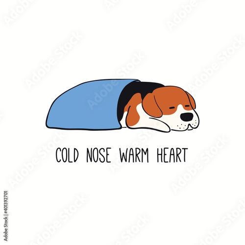 Cute funny sleeping dog, puppy, quote Cold nose warm heart. Hand drawn color vector illustration, isolated on white. Line art. Pet logo, icon. Design concept for trendy poster, t-shirt, fashion print.